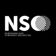 NSO 2018 logo